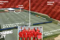 Đội tuyển Thụy Sĩ cảnh báo về rắn độc tại nơi tập luyện World Cup 2026