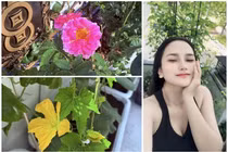 Khu vườn rực rỡ sắc hoa của "nhạc sĩ giàu nhất Việt Nam"