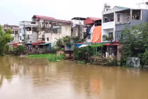 Hà Nội báo động lũ trên sông Bùi, nâng mức cảnh báo lũ trên sông Tích