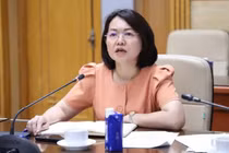 Phát ngôn gây chú ý của Cục trưởng Trần Việt Nga trước khi bị bắt 