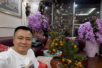 Đón Tết Bính Ngọ 2026, căn nhà của NSND Tự Long ngập tràn sắc hoa 