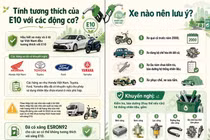 Đây là những rủi ro chủ ôtô cũ dễ gặp nhất khi chạy xăng E10
