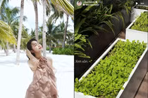 Doãn Hải My tự tay chăm từng góc biệt thự chục tỷ 