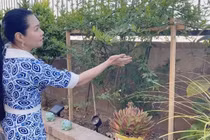 Biệt thự triệu đô của nữ NSƯT giàu nhất nhì làng sân khấu cải lương