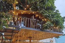 Cận cảnh ngôi nhà trên cây 130 triệu độc nhất Hà Nội 