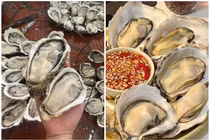 Hàu vàng Trung Quốc giá rẻ đổ bộ chợ Việt
