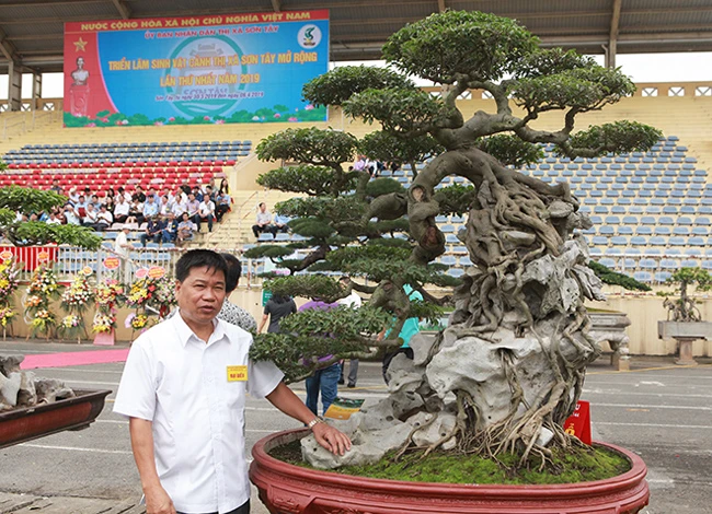 Kiệt tác sanh cổ “thác đổ ngồi đá” hiếm có của đại gia Phú Thọ