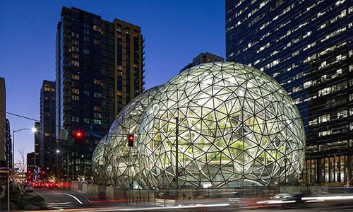 Văn phòng của Amazon: Khi đi làm như đi... vào rừng