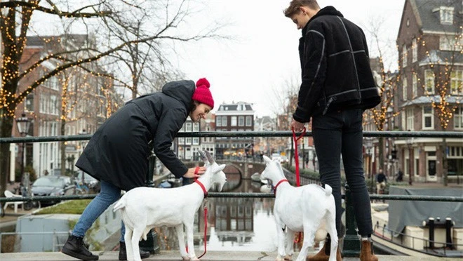 Video: Đến Amsterdam để được "tặng" chồng và hưởng trăng mật miễn phí
