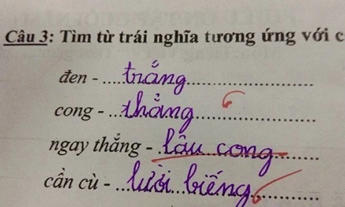 Những bài kiểm tra, tập làm văn 'bá đạo' của học sinh
