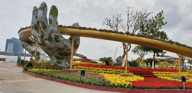 Check - in “siêu độc” với Cầu Vàng ở Đường hoa bên sông Hàn