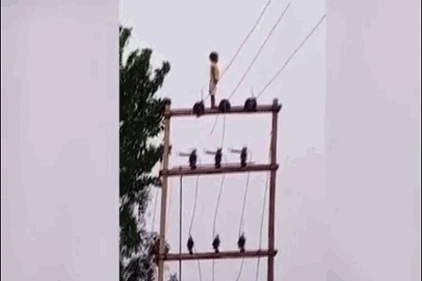 Video: Đau tim vì bé trai 5 tuổi leo đỉnh cột điện "ngắm cảnh"