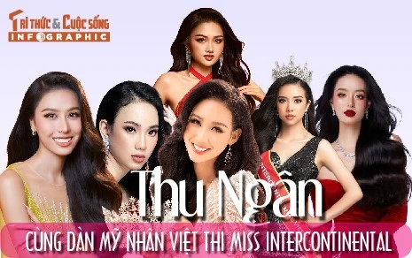 [INFOGRAPHIC] Thu Ngân cùng dàn mỹ nhân Việt thi Miss Intercontinental
