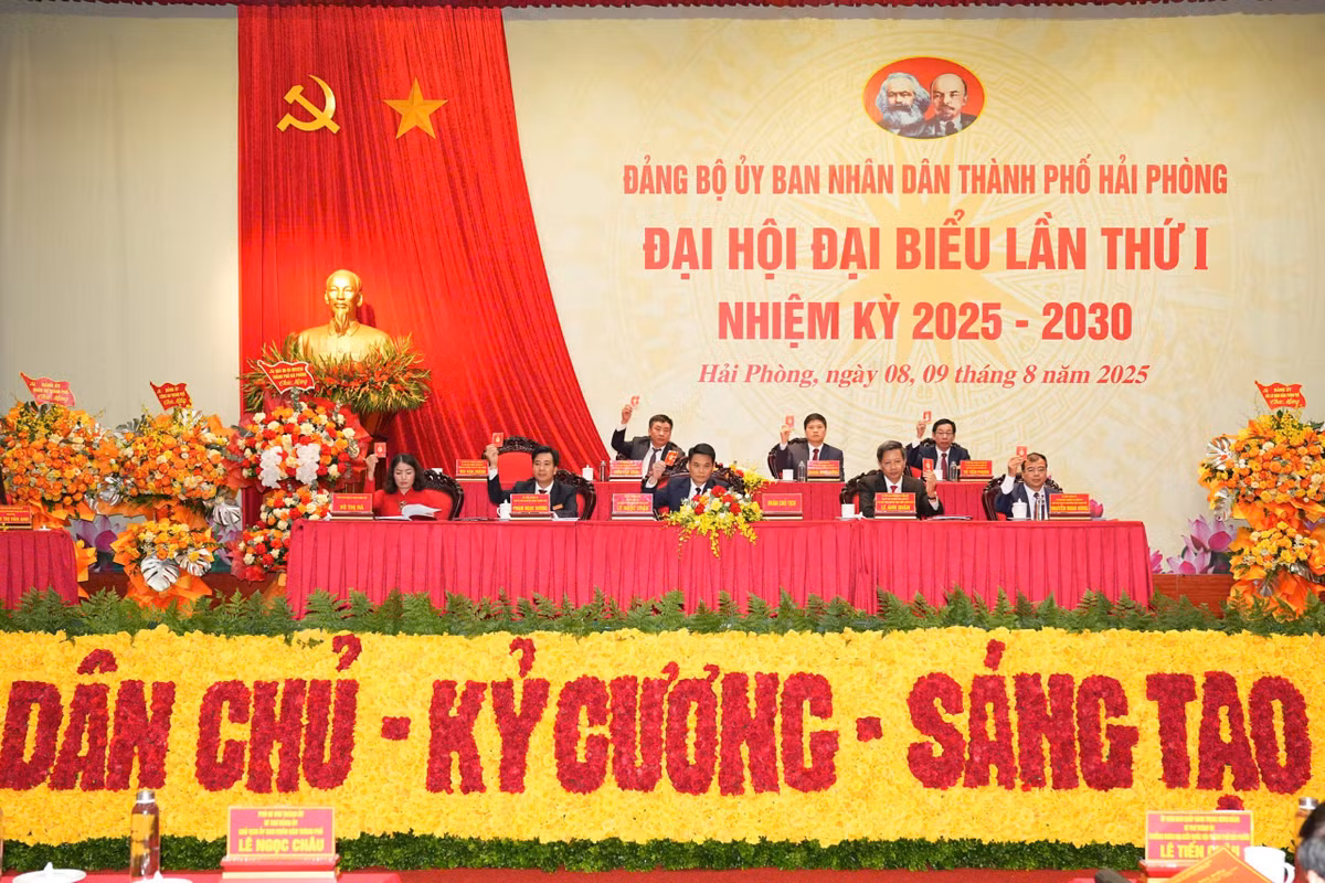 653.jpg