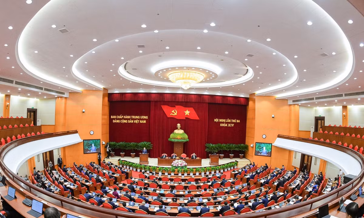 8877.jpg