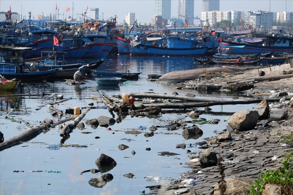 Âu thuyền lớn nhất Đà Nẵng bị rác thải bủa vây