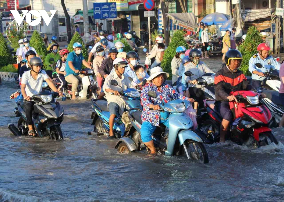 Dân Cần Thơ bơi trên đường vì triều cường