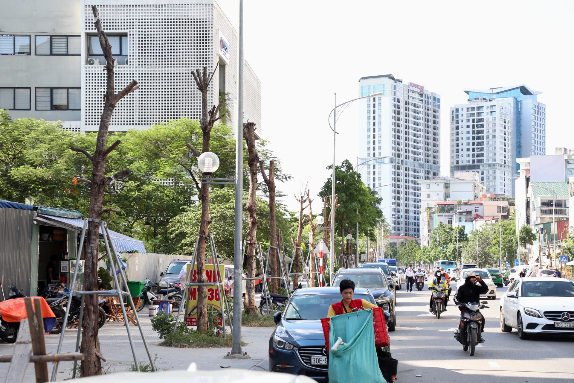 Hàng loạt cây trên đường Huỳnh Thúc Kháng kéo dài lại chết khô 