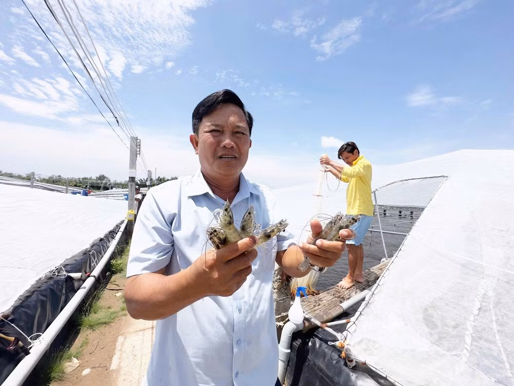 Ông Đặng Văn Bảy (Bảy An), xã Thanh Phong, tỉnh Vĩnh Long. (Nguồn: Vietnam+)