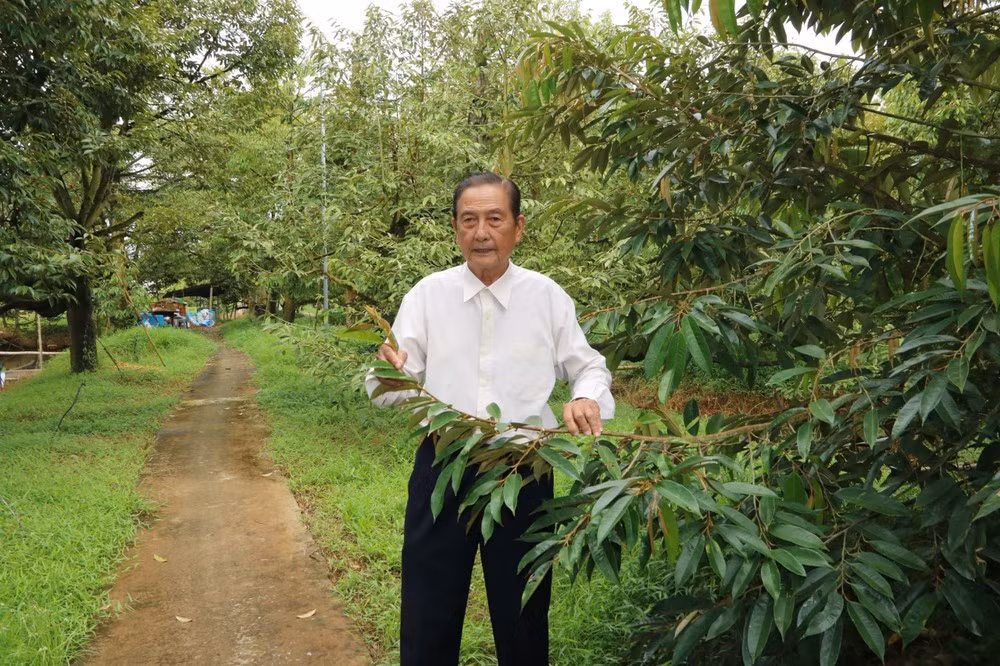 Ông Lê Văn Sáu, tân Bình, Cần Thơ. (Nguồn: Vietnam+)