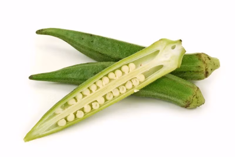 Một ưu điểm của đậu bắp là cung cấp tương đối ít năng lượng nhưng lại chứa lượng chất xơ đáng kể. Chất xơ giúp tạo cảm giác no lâu, hỗ trợ hoạt động của hệ tiêu hóa và góp phần kiểm soát lượng thức ăn tiêu thụ trong ngày. Vì vậy, đậu bắp có thể trở thành thực phẩm phù hợp với những người muốn duy trì cân nặng hoặc xây dựng chế độ ăn uống cân đối. Ảnh: Medlatec