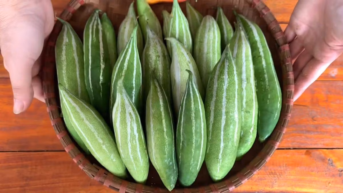 Lặc lè, còn gọi là lặc lè gai ở một số địa phương, có phần thịt giòn, nhiều nước và cung cấp vitamin C cùng chất xơ. Quả non thường được luộc, hấp, xào hoặc nấu canh. Lặc lè luộc chấm kho quẹt, xào thịt bò hoặc xào tỏi là những lựa chọn đơn giản, giúp giữ được độ giòn và vị ngọt tự nhiên của loại quả này. Ảnh: Điện máy XANH