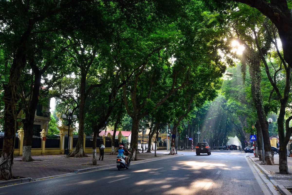 Phố Phan Đình Phùng nổi tiếng với những hàng cây cổ thụ trải dài hai bên đường. Khi thu sang, lá vàng phủ trên vỉa hè, những chiếc xe hoa chậm rãi lướt qua càng khiến khung cảnh trở nên thơ mộng. Đây là địa điểm được nhiều bạn trẻ yêu thích để chụp ảnh, lưu giữ những khoảnh khắc đặc trưng của mùa thu Hà Nội. Ảnh: Phạm Khánh Huy