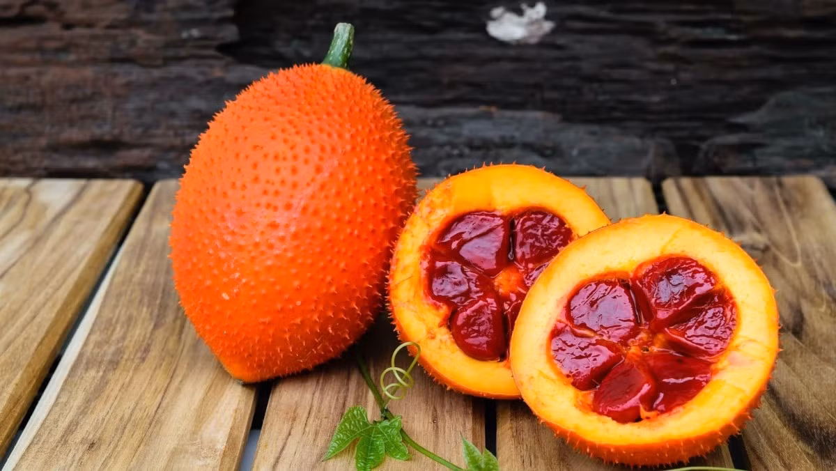 Gấc khác biệt so với nhiều loại quả trong nhóm nhờ phần màng đỏ bao quanh hạt chứa nhiều carotenoid, trong đó có beta-carotene và lycopene. Gấc thường được dùng để tạo màu và bổ sung dưỡng chất cho xôi gấc, cơm gấc hoặc một số món ăn truyền thống. Do phần thịt gấc thường được sử dụng với lượng vừa phải, có thể kết hợp cùng các nguyên liệu khác để tạo nên món ăn đa dạng. Ảnh: Điện máy XANH