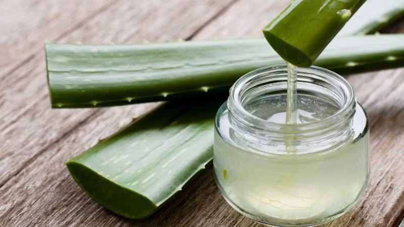 Ngoài ra, gel nha đam cũng là nguyên liệu lành tính giúp dưỡng ẩm và hỗ trợ mọc lông mày. Nhờ chứa enzyme và vitamin, nha đam giúp làm sạch da chết quanh nang lông, từ đó tạo điều kiện cho lông mày phát triển tốt hơn. Chỉ cần lấy phần gel trong suốt, thoa đều lên chân mày và để khoảng 30 phút rồi rửa lại với nước ấm.