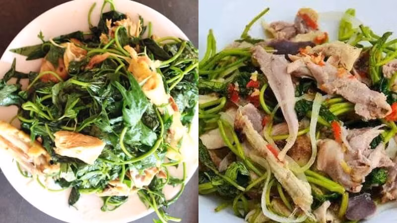 Với nguồn vitamin, khoáng chất, nước và chất xơ đa dạng, loại rau này phù hợp để thay đổi thực đơn và bổ sung thêm rau xanh trong khẩu phần ăn. Tuy nhiên, cũng như các loại rau khác, nên ăn với lượng phù hợp và ưu tiên nguồn rau sạch, được sơ chế kỹ trước khi chế biến. Ảnh: Bách hoá XANH