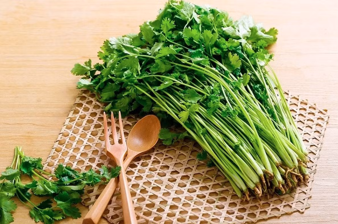 Rau mùi (còn gọi là ngò rí) từ lâu đã trở thành một phần quen thuộc trong nhiều nền ẩm thực, đặc biệt là ở châu Á và Trung Đông. Tuy nhiên, đây cũng được xem là một trong những loại rau “gây chia rẽ” nhất thế giới khi có người yêu thích nồng nhiệt, nhưng cũng có người không thể chịu nổi mùi hương của nó. Dù vậy, nếu vượt qua được “rào cản mùi vị”, rau mùi lại mang đến nhiều lợi ích sức khỏe đáng kinh ngạc.