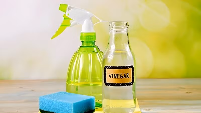 Làm sạch bằng nước lau kính. Cách làm: Xịt trực tiếp nước lau kính pha loãng lên bề mặt máy. Đợi khoảng 15 phút để dung dịch làm mềm lớp dầu mỡ, sau đó lau lại bằng khăn sạch. Bề mặt sẽ sáng bóng tức thì.