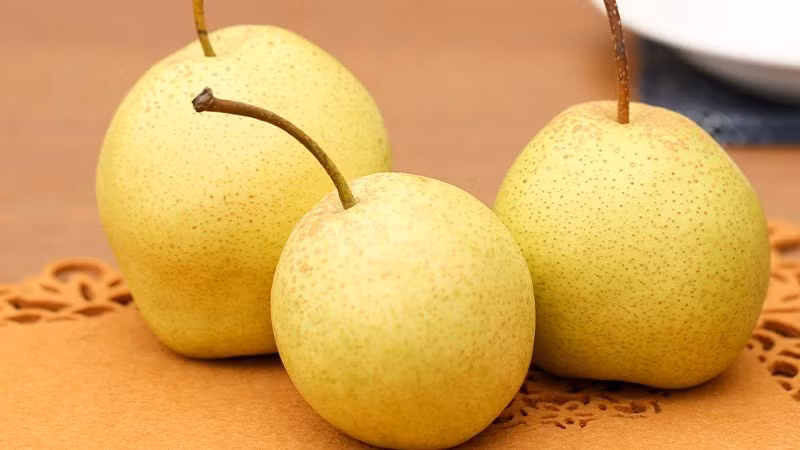 Lê cung cấp chất xơ, vitamin C, đồng và nhiều hợp chất thực vật, trong đó một phần đáng kể chất xơ nằm ở lớp vỏ. Chất xơ hòa tan và không hòa tan trong lê góp phần hỗ trợ hệ vi sinh đường ruột, nhu động ruột và cảm giác no. Khi ăn, nên rửa kỹ và giữ lại vỏ nếu phù hợp để tận dụng tối đa chất xơ. Lê có thể ăn trực tiếp, thái lát trộn salad hoặc dùng cùng yến mạch và sữa chua không đường. Ảnh: Điện máy XANH