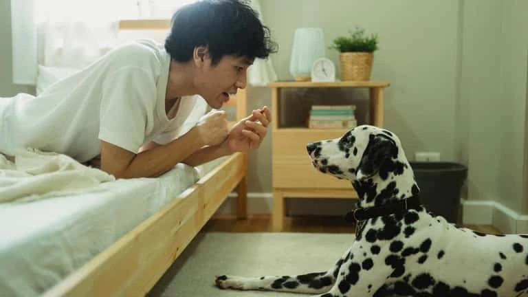 [GALLERY] Startup AI Trung Quốc gây sốc với máy “dịch tiếng chó mèo”