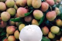 Cảnh giác: Trái cây, thức uống mùa hè có thể làm tăng cơn bốc hỏa