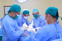 Khớp gối 'đóng băng', đau như cực hình vì thoái hóa