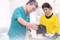 Nạo VA tưởng đơn giản, trẻ 17 tuổi thở máy hơn một tháng