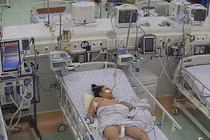 Cứu sống bệnh nhi sốc sốt xuất huyết Dengue nặng có suy gan cấp