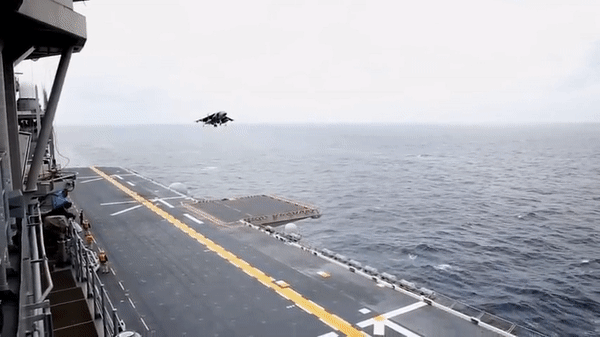 AV-8B Harrier II được trang bị radar APG-65 có tầm quét lên tới 180km, khả năng phát hiện 10 mục tiêu và tiêu diệt cùng lúc 4 mục tiêu trong số đó.