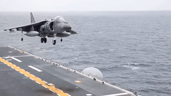AV-8B Harrier II có thể triển khai cả trên bộ và trên tàu sân bay, chúng thích hợp cho tác chiến đặc biệt và ở xa của lực lượng thủy quân lục chiến Mỹ.
