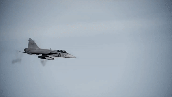 Nó có thể được trang bị tên lửa không đối không như AIM-120 AMRAAM và IRIS-T, bom GBU-49 và tên lửa hành trình KEPD 350, tên lửa chống hạm như RBS-15. Ngoài ra, ngoài ra còn có pháo Mauser BK-27 27mm để giao chiến tầm gần.