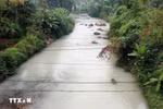 Vịt chết bất thường khi nước sông Cầu đổi màu tại Thái Nguyên