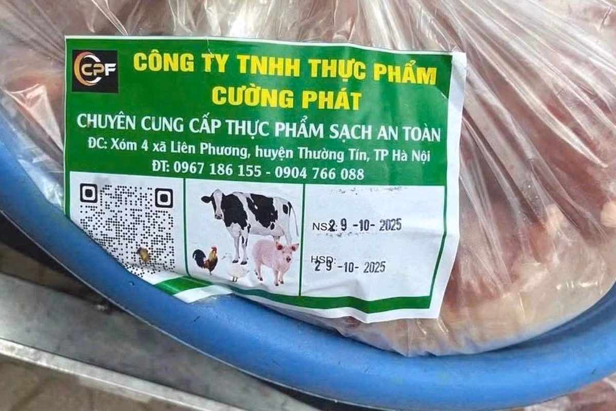 cuong-phat-01.jpg