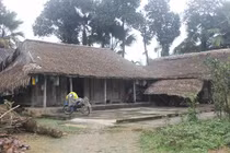 Xúc động chuyện con trai vượt rừng tìm vợ cho cha 