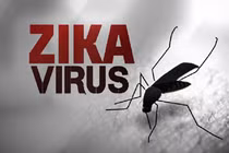 Giám sát nơi bệnh nhân Hàn Quốc nhiễm virus Zika ở Việt Nam