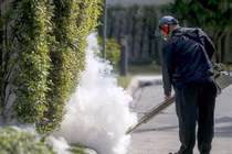 Australia, Thái Lan phát hiện trường hợp nhiễm virus Zika đầu tiên