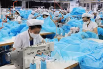 Doanh thu 8 tháng của TNG đạt 3.543 tỷ đồng, tăng 16% so cùng kỳ