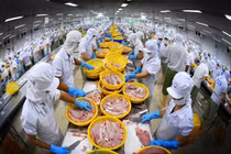 Vĩnh Hoàn: Lãi quý 3 giảm 40%, đầu tư chứng khoán gần 130 tỷ đồng