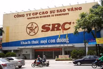 Cao su Sao Vàng bi truy thu và nộp hơn 1,6 tỷ đồng vì khai sai thuế
