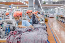 May Sông Hồng bị kiểm toán ngoại trừ về công nợ 219 tỷ với đối tác Mỹ